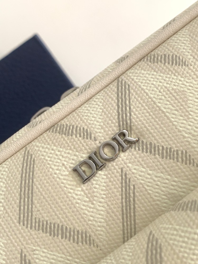 Dior manbag