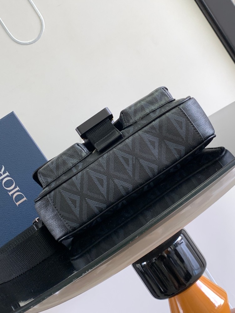 Dior manbag