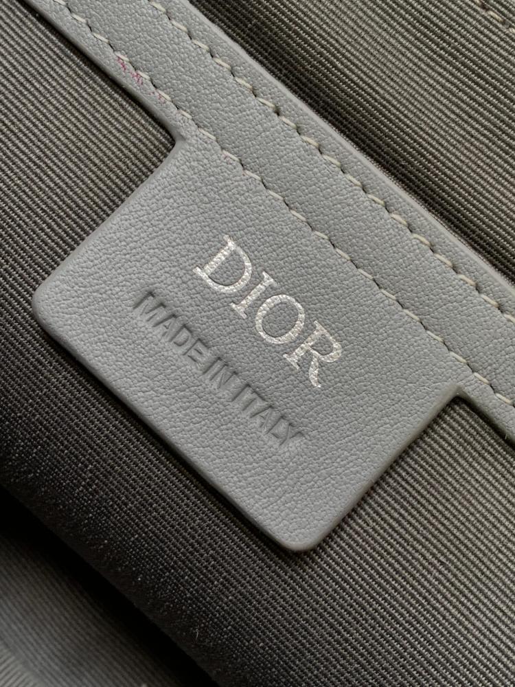 Dior manbag