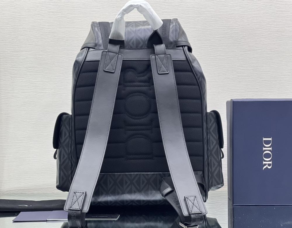 Dior man's CD Dimond backpacks