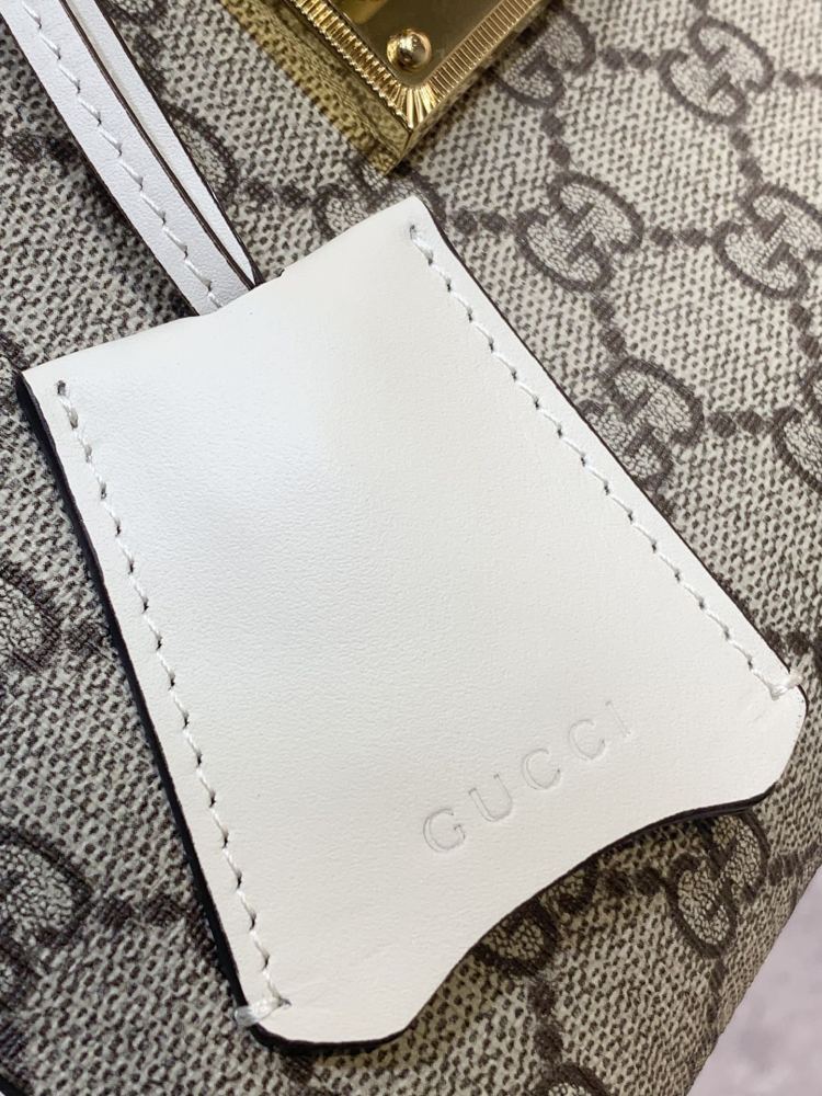 Gucci  size 26*18*10