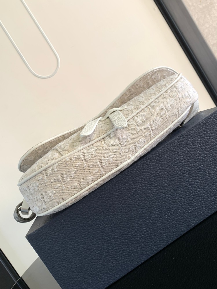 Dior manbag