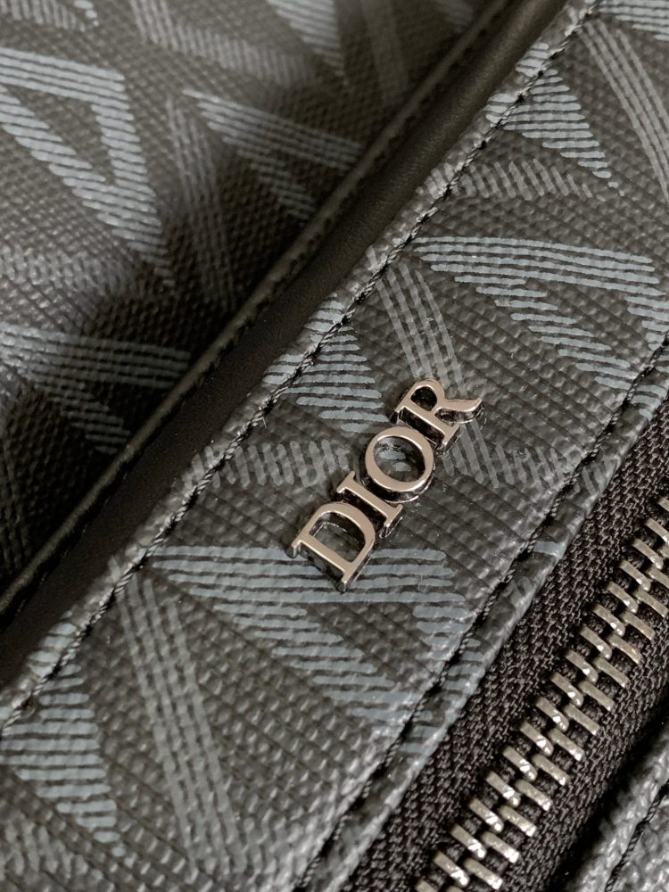Dior manbag