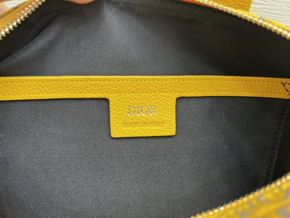 Dior manbag