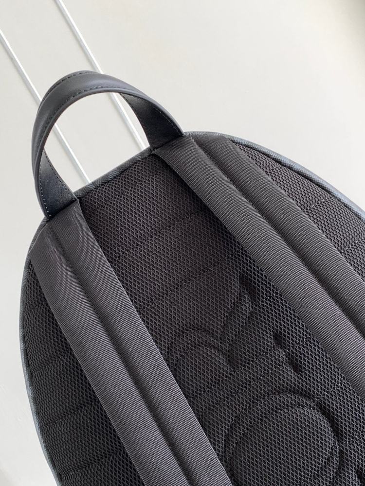 Dior manbag