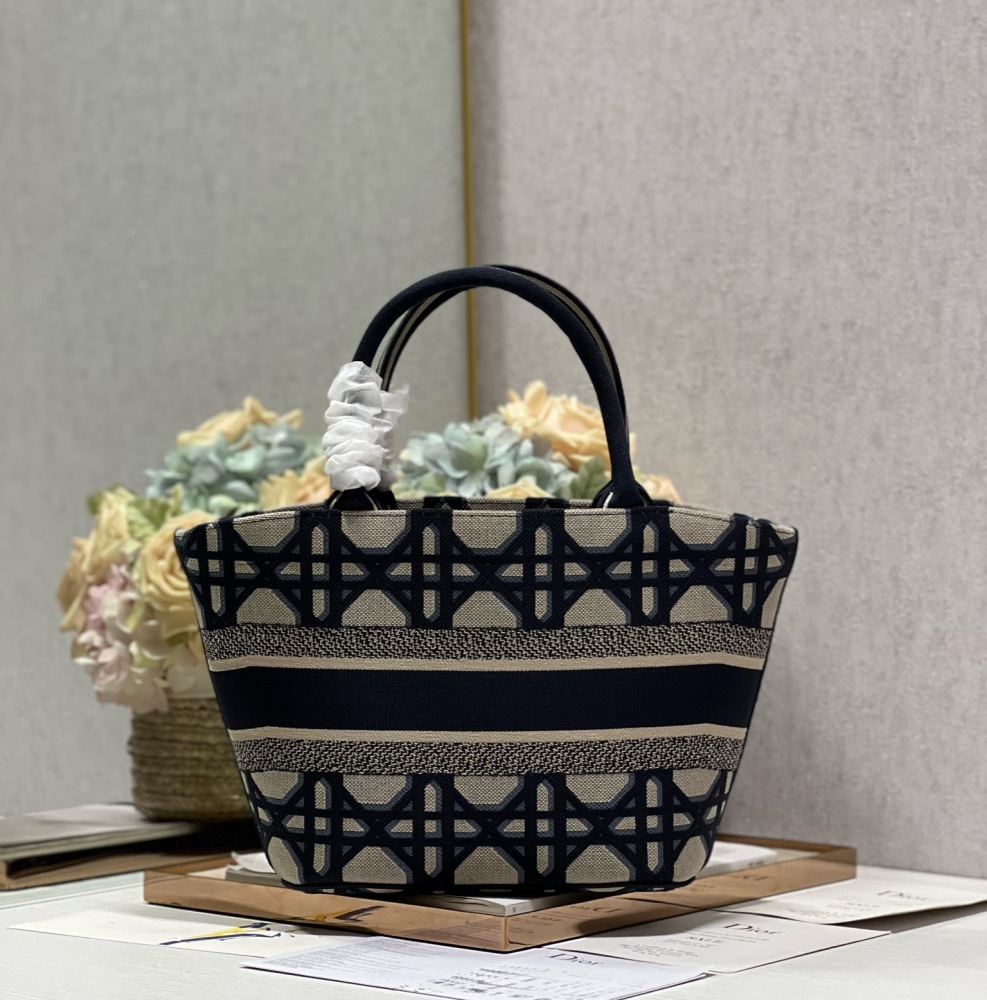 Dior bag Dior Maria Grazia Chiuri Christian Dior