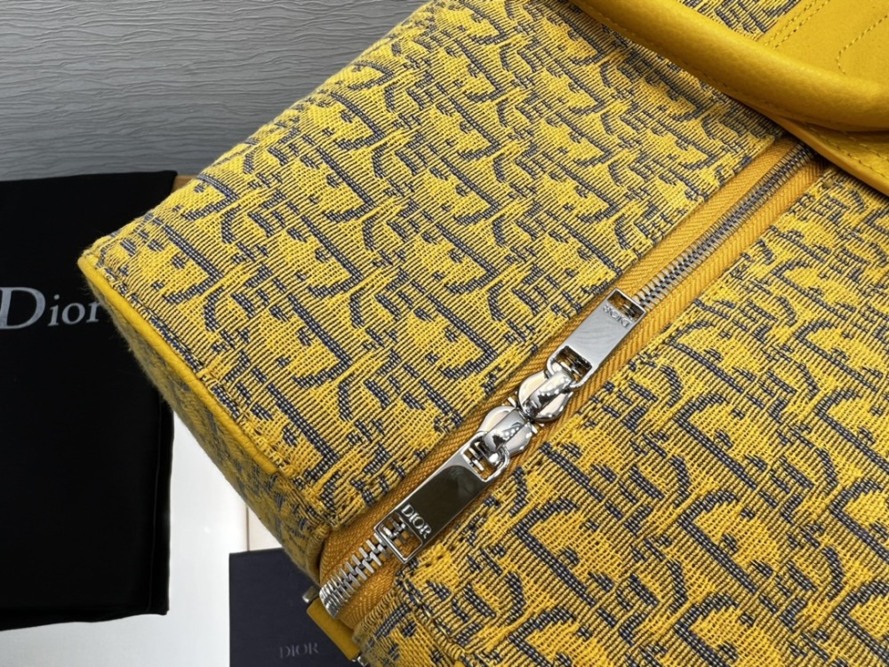 Dior manbag