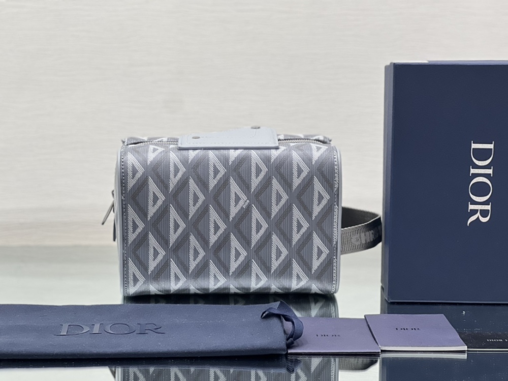 Dior manbag