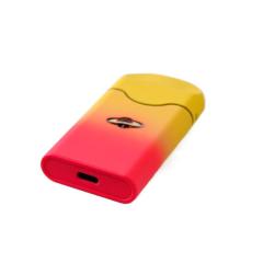 CBD-Vape mit zwei Kammern | Zwei Geschmacksrichtungen | 260 mAh | USB-C