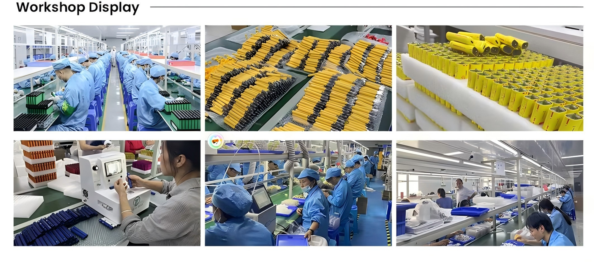 Company Overview