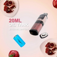  20ml disposable pod Multi-flavors available