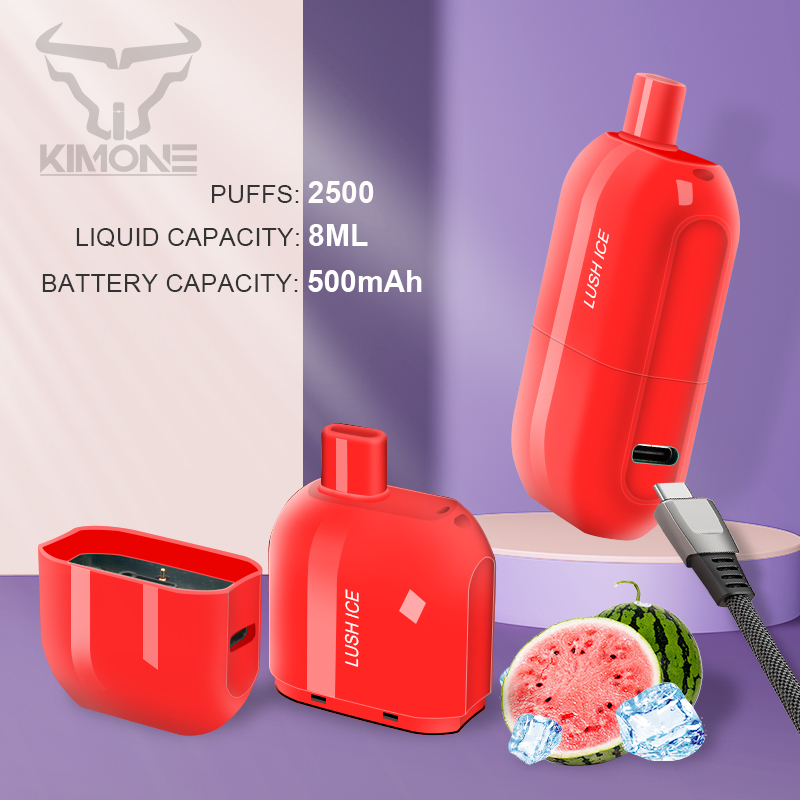 Disposable vape pod kit-2