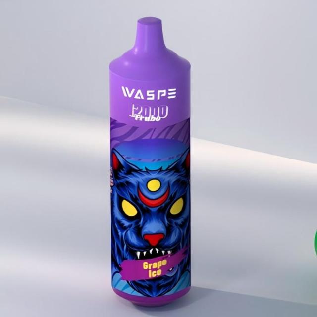 Waspe 12000 puff disposable vape -1