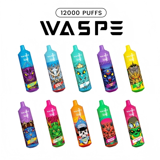 Waspe 12000 puff disposable vape -4