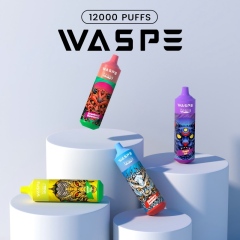 Waspe 12000 puff disposable vape -3