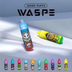 Waspe 12000 puff disposable vape -5