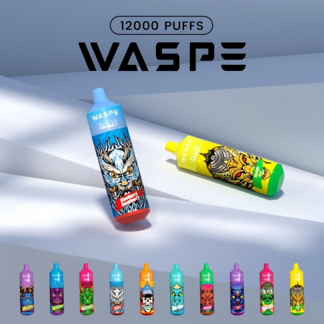Waspe 12000 puff disposable vape -5