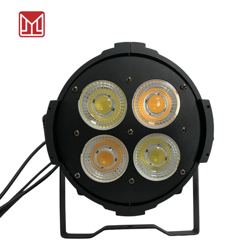 LED PAR 4*50