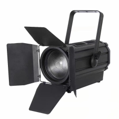 LED FRESNEL 300