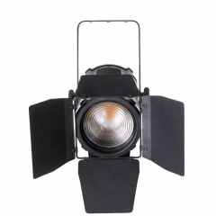 LED FRESNEL 300