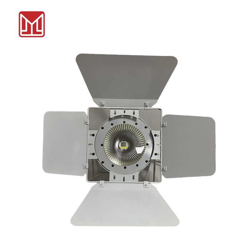 200W COB PAR LIGHT WAHITE+WARM WHITE