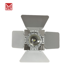 200W COB PAR LIGHT WAHITE+WARM WHITE