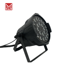 LED PAR LIGHT RGBW 4IN1 *24