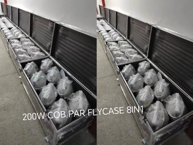 200W COB PAR LIGHT WAHITE+WARM WHITE