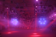 Led Sunflower Beam and Strobe Light