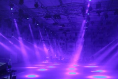 Led Sunflower Beam and Strobe Light