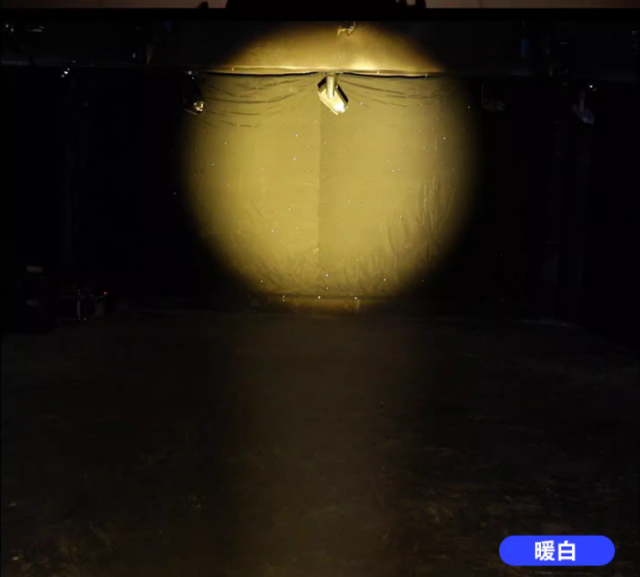 200W COB PAR Light CW+WW With zoom