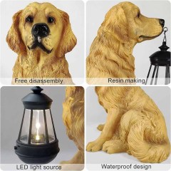 Milalit Golden Retriever Statue Outdoor with Solar Led Lantern Home Garden Decoration Windproof Lamp Sunlight Power Resin Yellow Christmas Dog Decorative Animal LED Light for Lawn Yard Patio Welcome Home Ornament