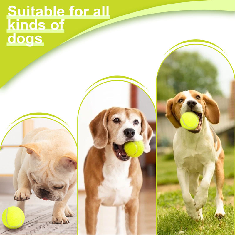 Milalit Dog Ball Thrower Launcher Automatic USB Rechargeable Balls Thrower Machine For Small Husky Golden Retriever Puppy Medium Big Dog Play Included Mini Tennis Balls