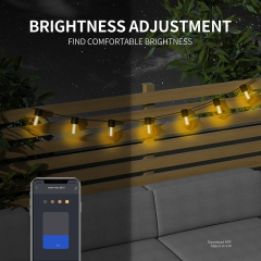 Milalit Smart Electric Plug in 15m G40 Outdoor IP65 2000K String LED 25 Bulb Lamps with Bluetooth APP IR Remote Control Dimmer Timer Function for Garden Yard Holiday Festival Decoration