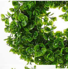 Milalit 43cm 17inch Spring Money Tree Green Leaves Wreath Life-like Greenery Hanging Garland for Home Wedding Wall Window Decoration Front Door Wreaths Artificial Spring Summer All Season Fit Green Wreath for Christmas Halloween Farmhouse