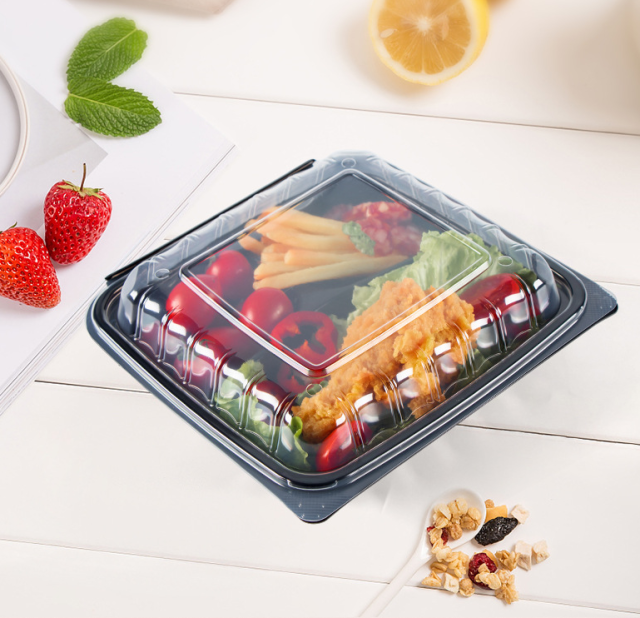 Custom wholesale disposable food box anti-fog  one-piece hinged sushi bento burger box Creative light food salad take-out container 1000ml