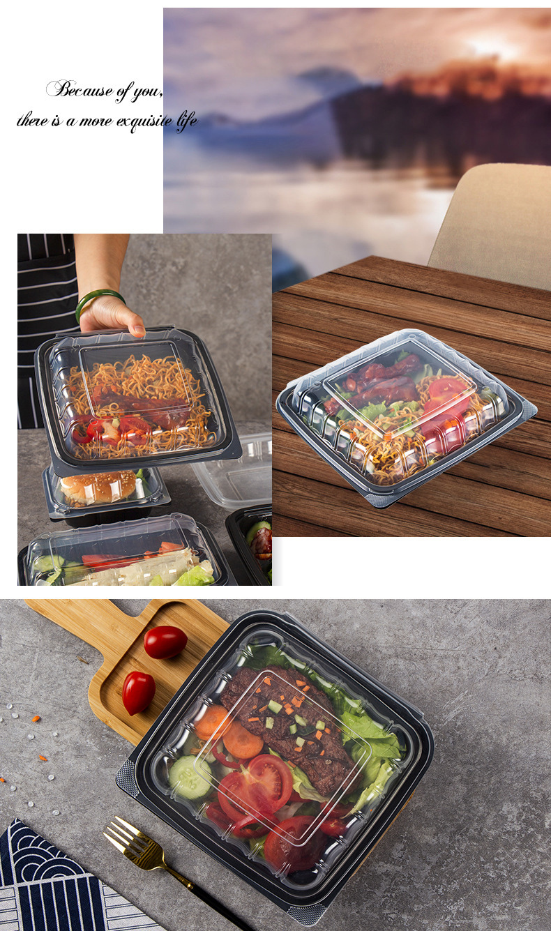 Custom wholesale disposable food box anti-fog  one-piece hinged sushi bento burger box Creative light food salad take-out container 1000ml