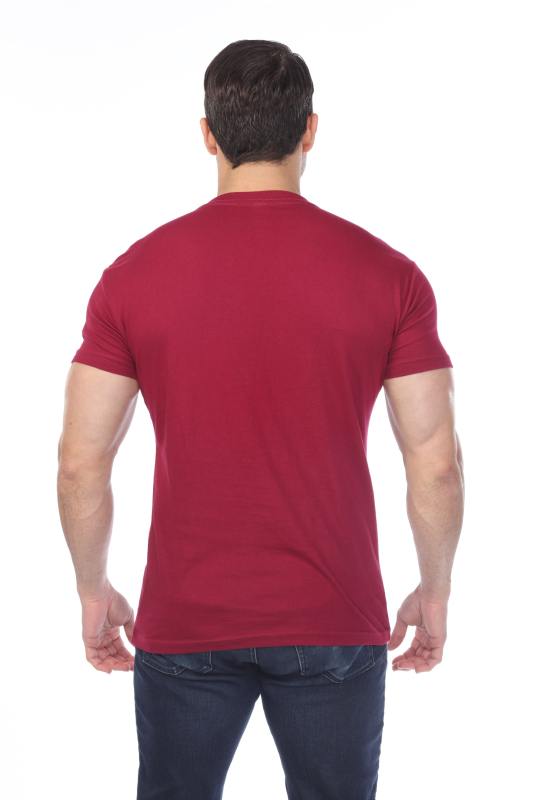 4601 Men's Slim FIt Short Sleeve V-Neck Tee