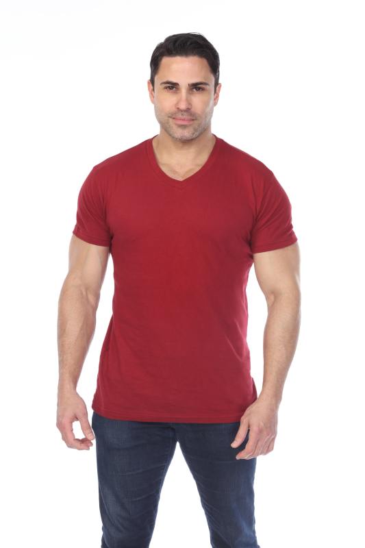 4601 Men's Slim FIt Short Sleeve V-Neck Tee