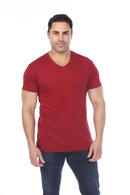 4601 Men's Slim FIt Short Sleeve V-Neck Tee