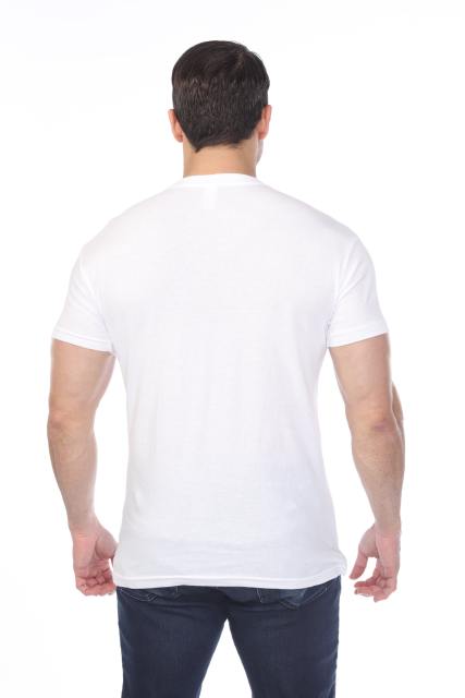 4601 Men's Slim FIt Short Sleeve V-Neck Tee