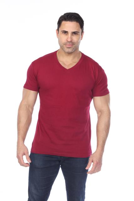 4601 Men's Slim FIt Short Sleeve V-Neck Tee