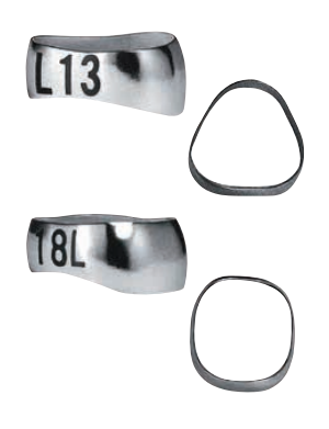 Bicuspid Bands Upper, Lower 1st, Lower 2nd