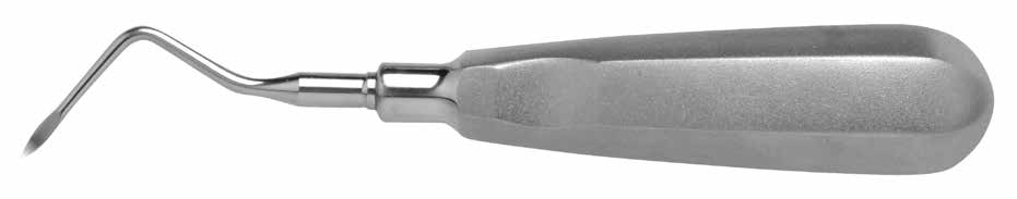 Root Tip Pick       #3A