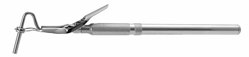 Graft Carrier