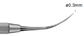 YS #2