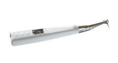 Endo Motor E310
