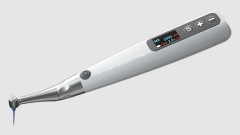 Endo Motor E310