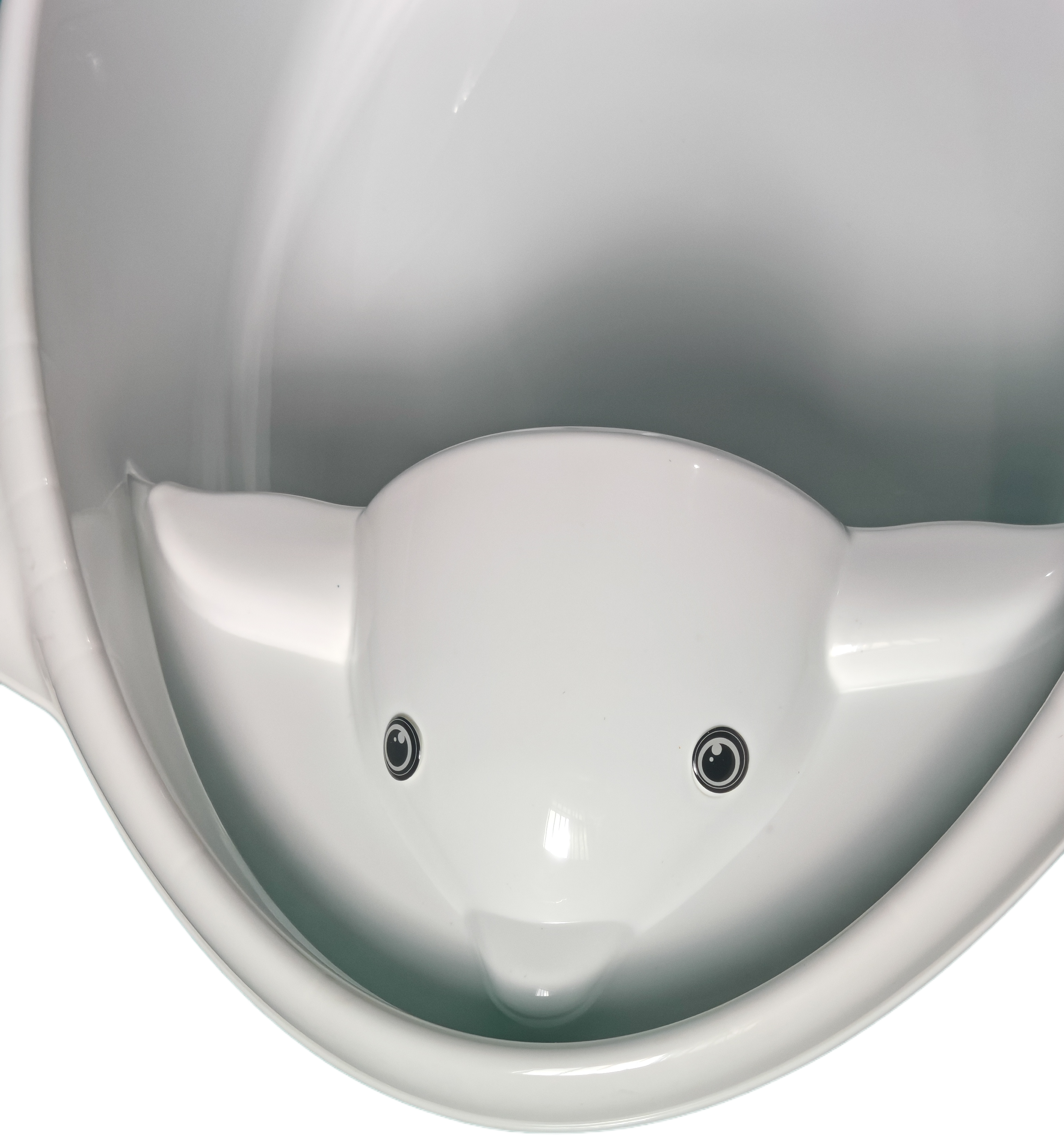 BANITO DELFIN
