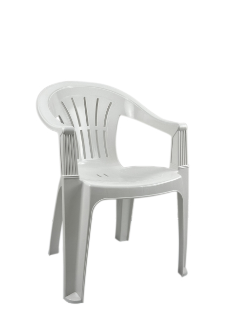 SILLA PALMERA C/REPOSABRAZOS